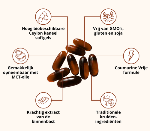 Ceylon Cinnamon 7200 mg equivalent met MCT-olie